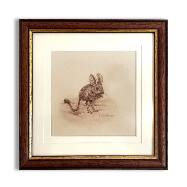 Original - Petite souris Gerboise